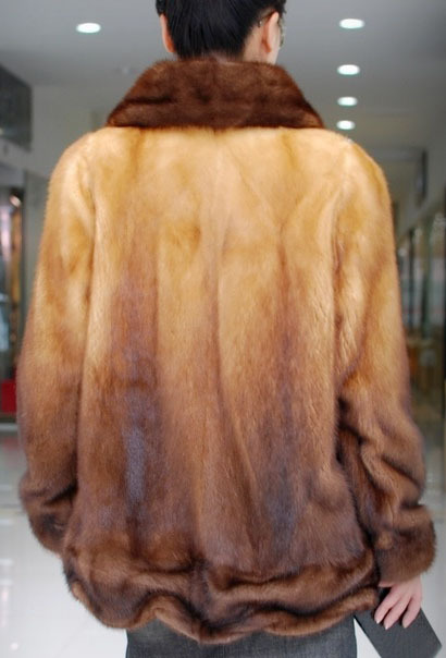 整貂金貂公领抽筋