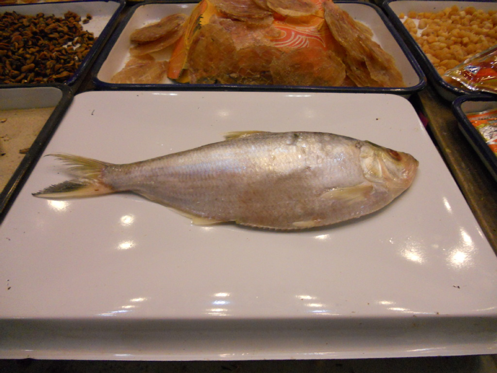 巴西力鱼 舟山国际水产城 新鲜