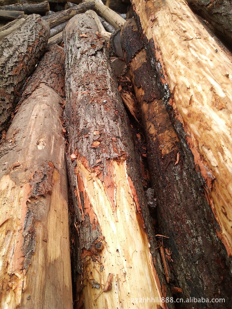 我厂常年需要杂木,以枫木,禾木,子母木,栲木为主,主要以江西范围为主