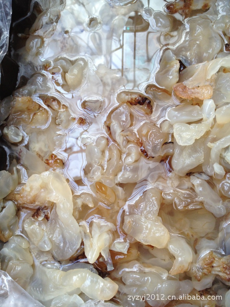 舟山特产 海鲜腌制菜品 散称透明袋封口500g 无染色 凉拌碎海蜇