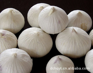 求购独蒜图片_求购独蒜图片大全 - 阿里巴巴海量精选高清图片