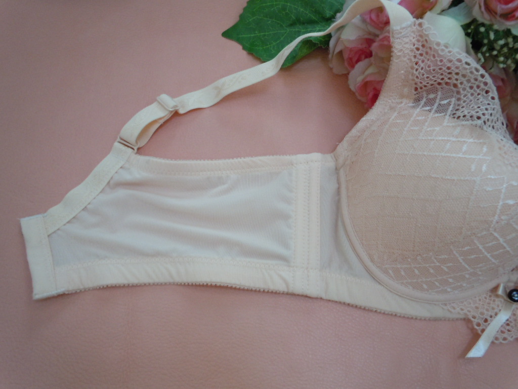 2012新款 伊姿韵正品6598内衣文胸 深v聚拢侧收调整型b杯