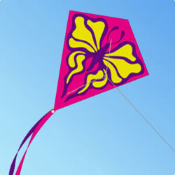 供应广告促销风筝,现代风筝,企业标志三角风筝,菱形风筝 kite