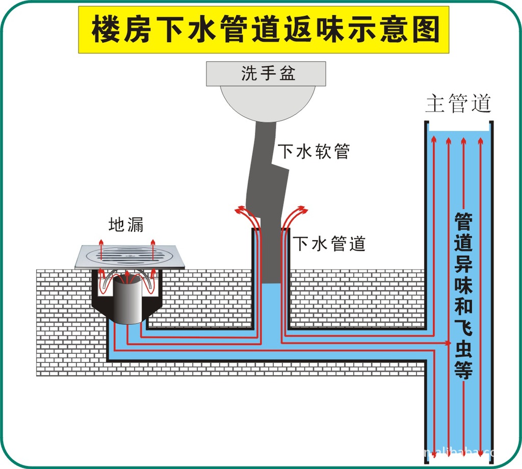 防臭地漏图片 结构图图片