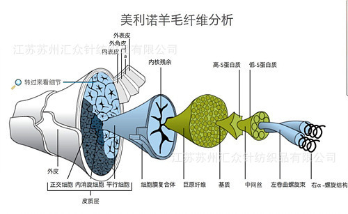 供应48nm 美利奴羊毛coolmax汗布 merinowool coolmax jersery