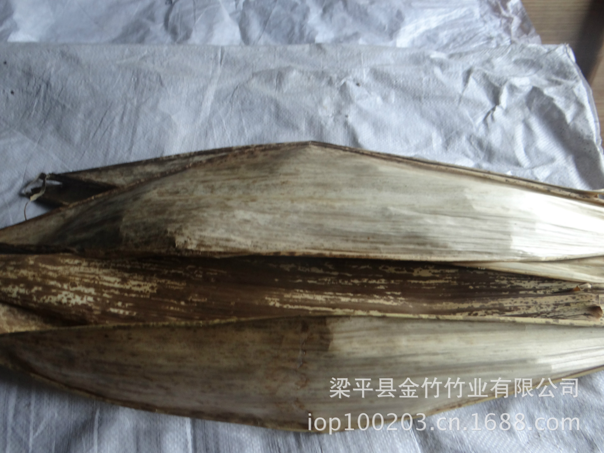 纯天然斑竹壳 色泽白净 外部花纹鲜艳清新自然