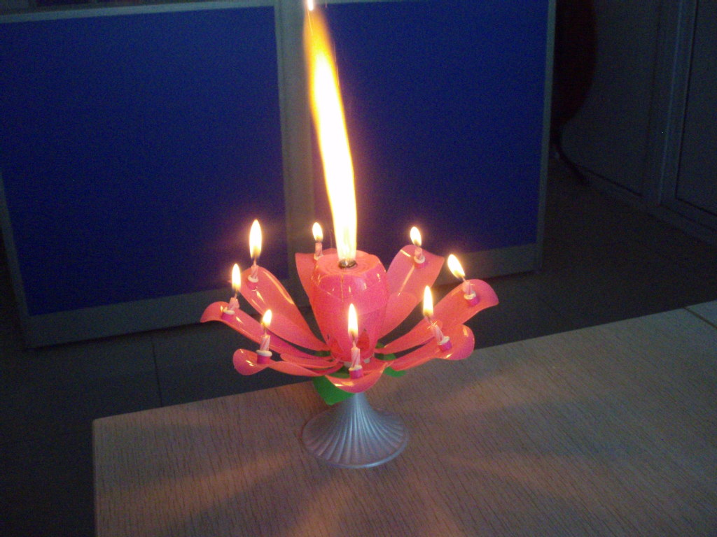 厂家直供玫瑰型音乐蜡烛梦幻玫瑰