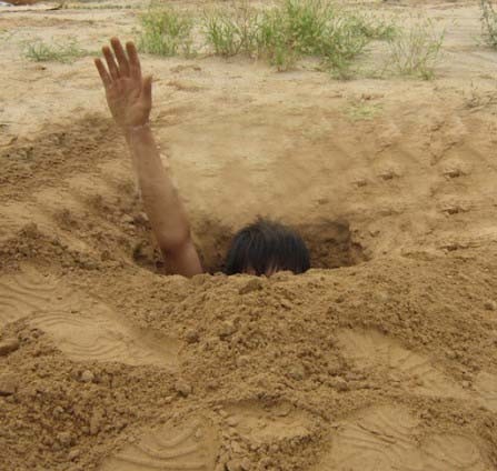 设计挖坑机机械式旋坑挖穴机机械打坑设备