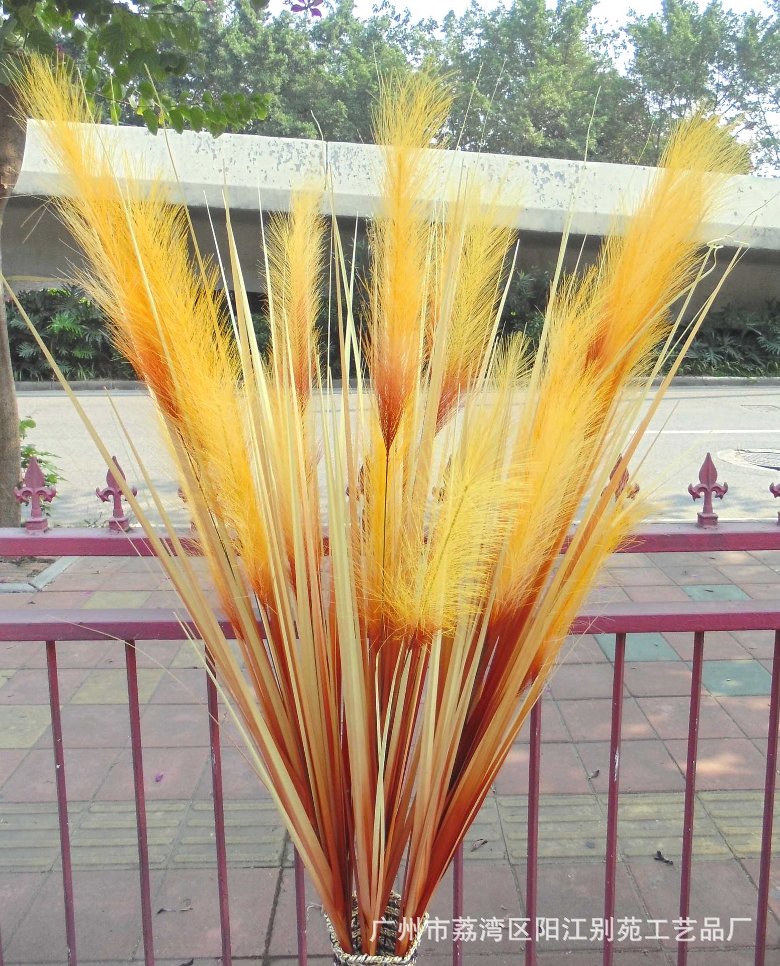 秋色二头五头芦苇 洋葱草大型商场园林工程装饰布景美化材料道具