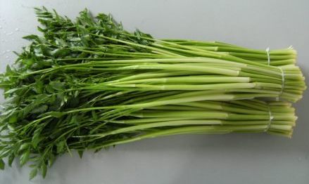 0(%) 等级:1 品种:水芹菜 你是