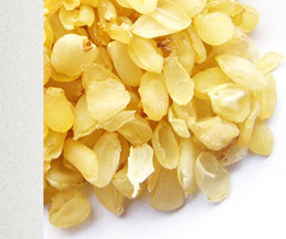 【别名】鸡栖子,皂角,大皂荚,长皂荚,悬刀,长皂角,大皂角,乌犀.