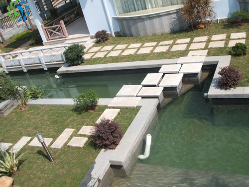 庭院鱼池景观水处理