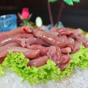 天天海鲜 活鲜海肠1袋 约400-500克/袋 条条保活 美颜之佳品