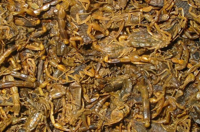 长期供应地产中药材全虫,全蝎