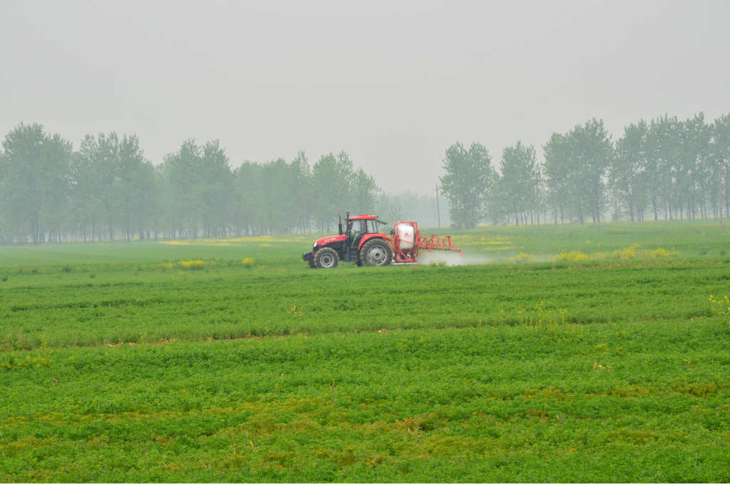 供应打药特级 半干青贮苜蓿