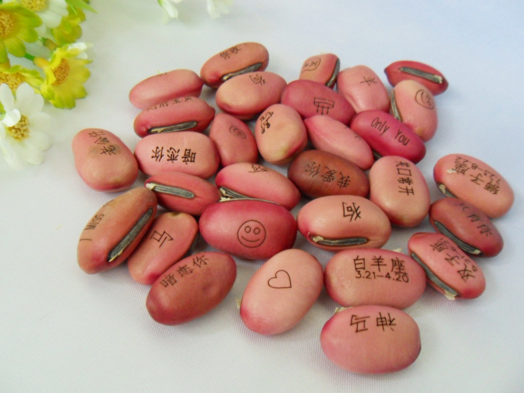 魔豆 红色魔豆种子 礼品 小礼物 时尚小豆豆 送礼一件代发