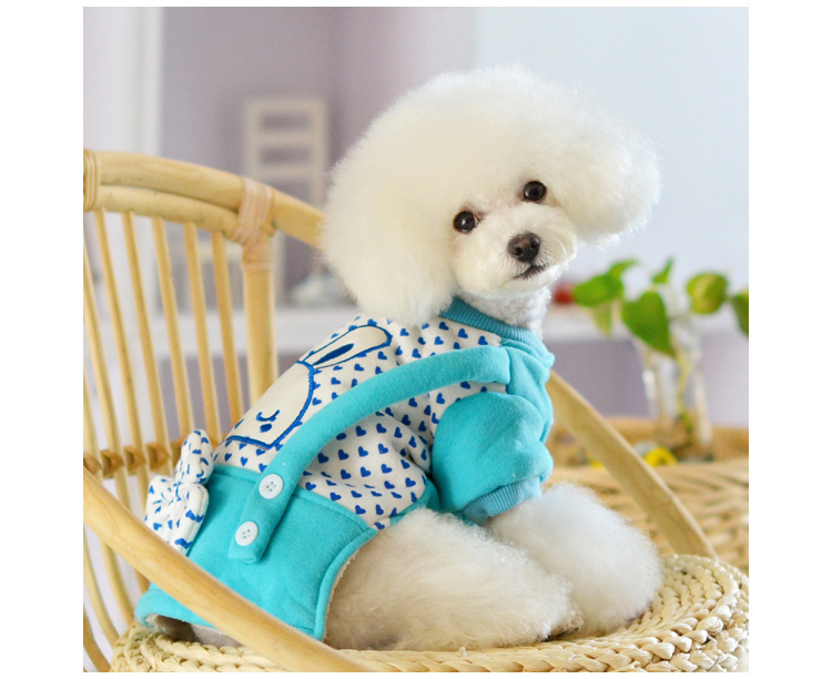 beow 2013新款秋冬装宠物服装 俏皮可爱嘻哈兔动物衣服批发