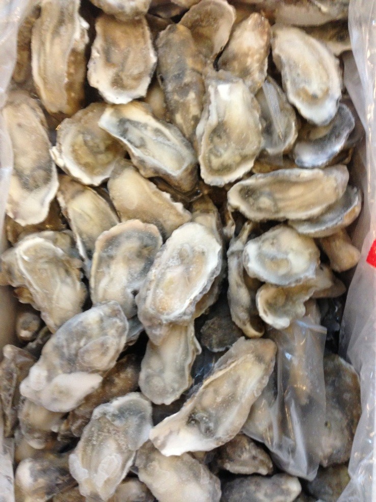 混批/支付宝/半壳生蚝 新鲜活冻 厂家直销 一箱20斤156个