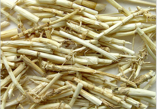 大量 供应 中药材 中药饮片 白茅根