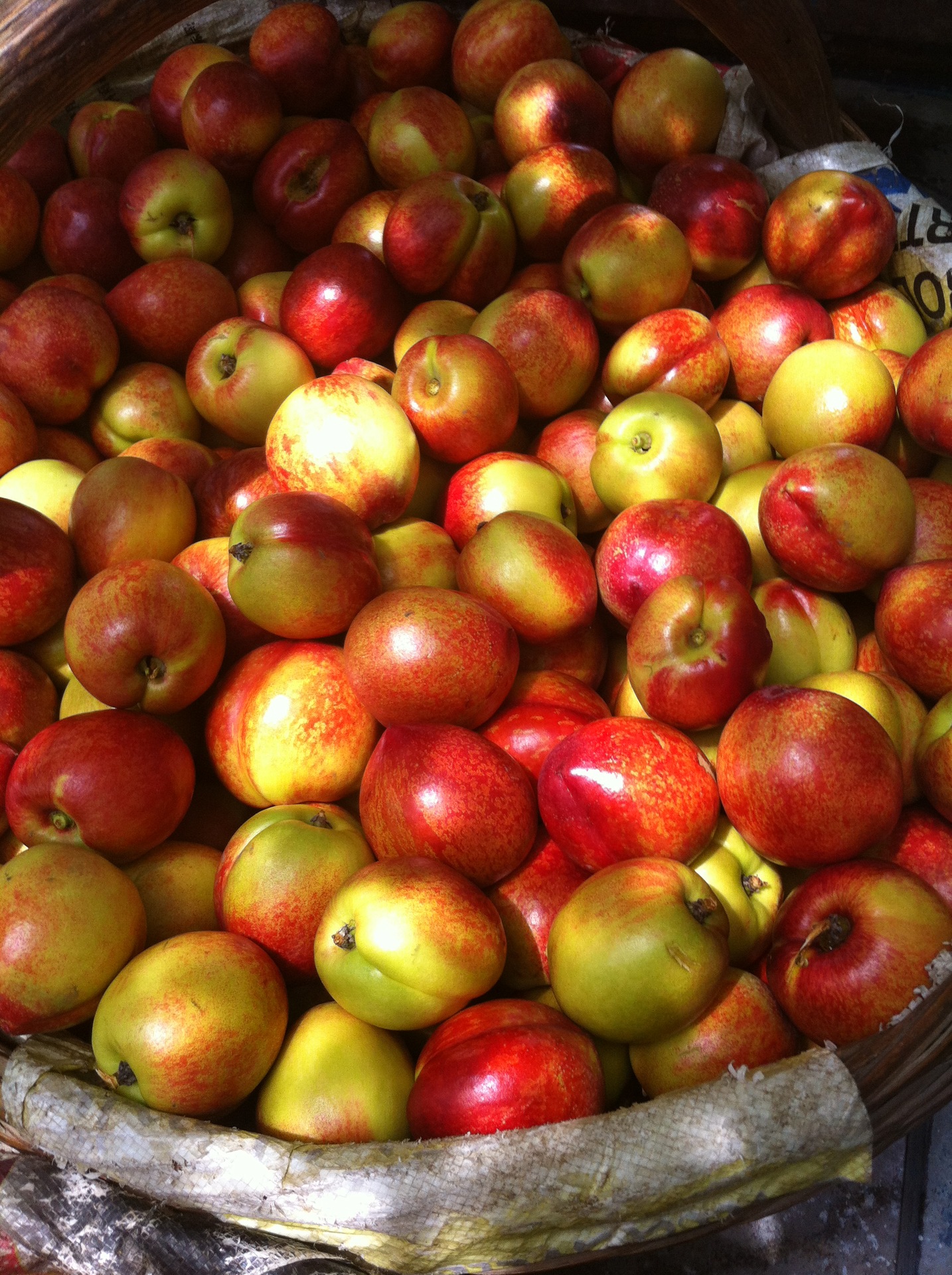 露天五月鲜油桃已大量上市