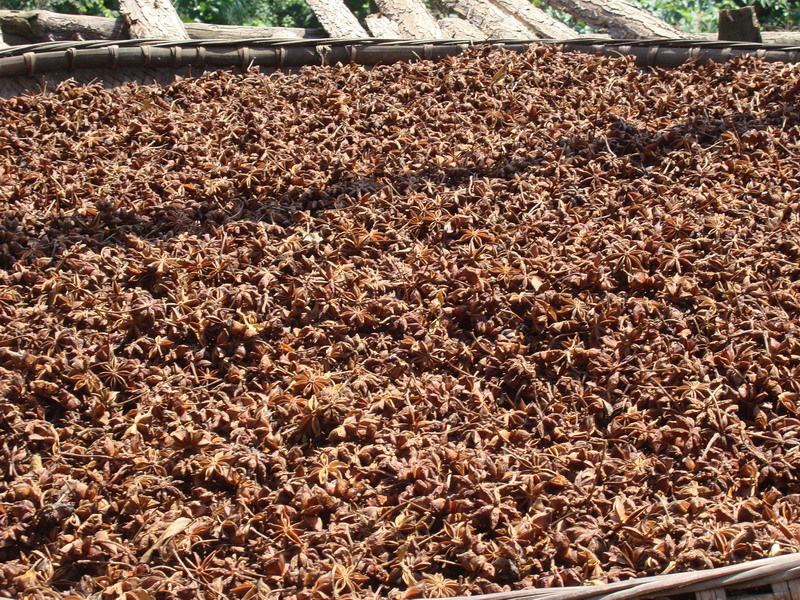 广西南宁产地八角茴香小茴香大茴香香料大料