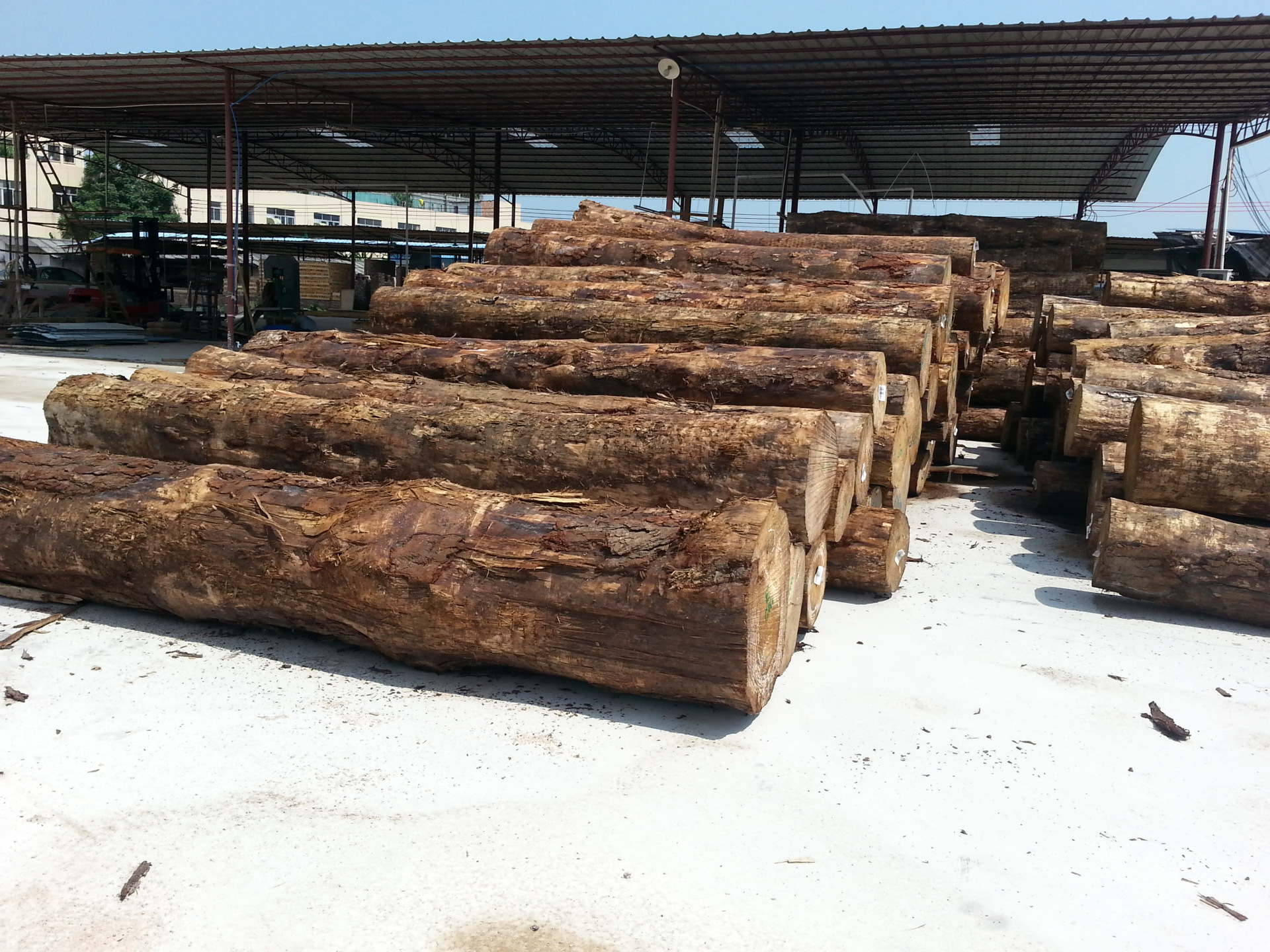【供应进口 噢洲松木 4~10m】价格,厂家,图片,原木材,广州市花都区