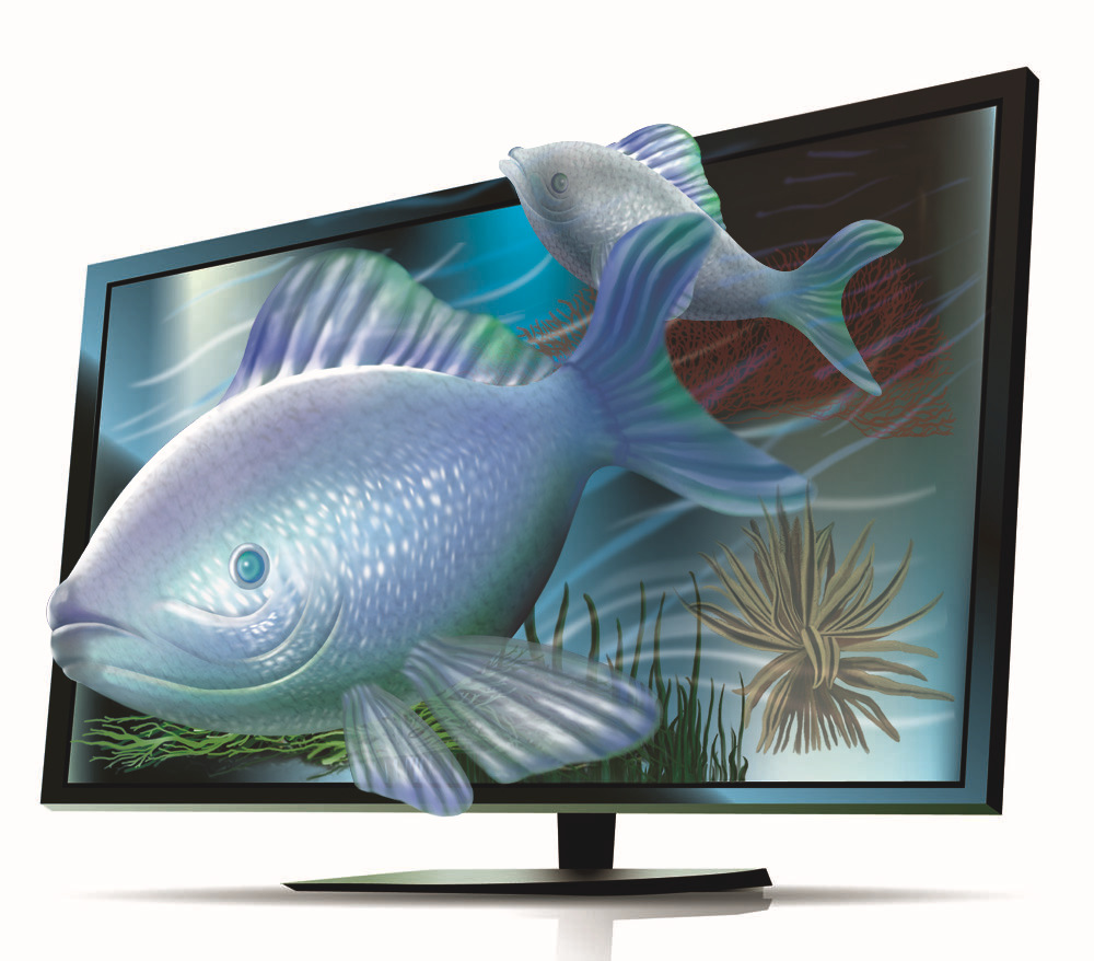 3d裸眼电视,广告机系列