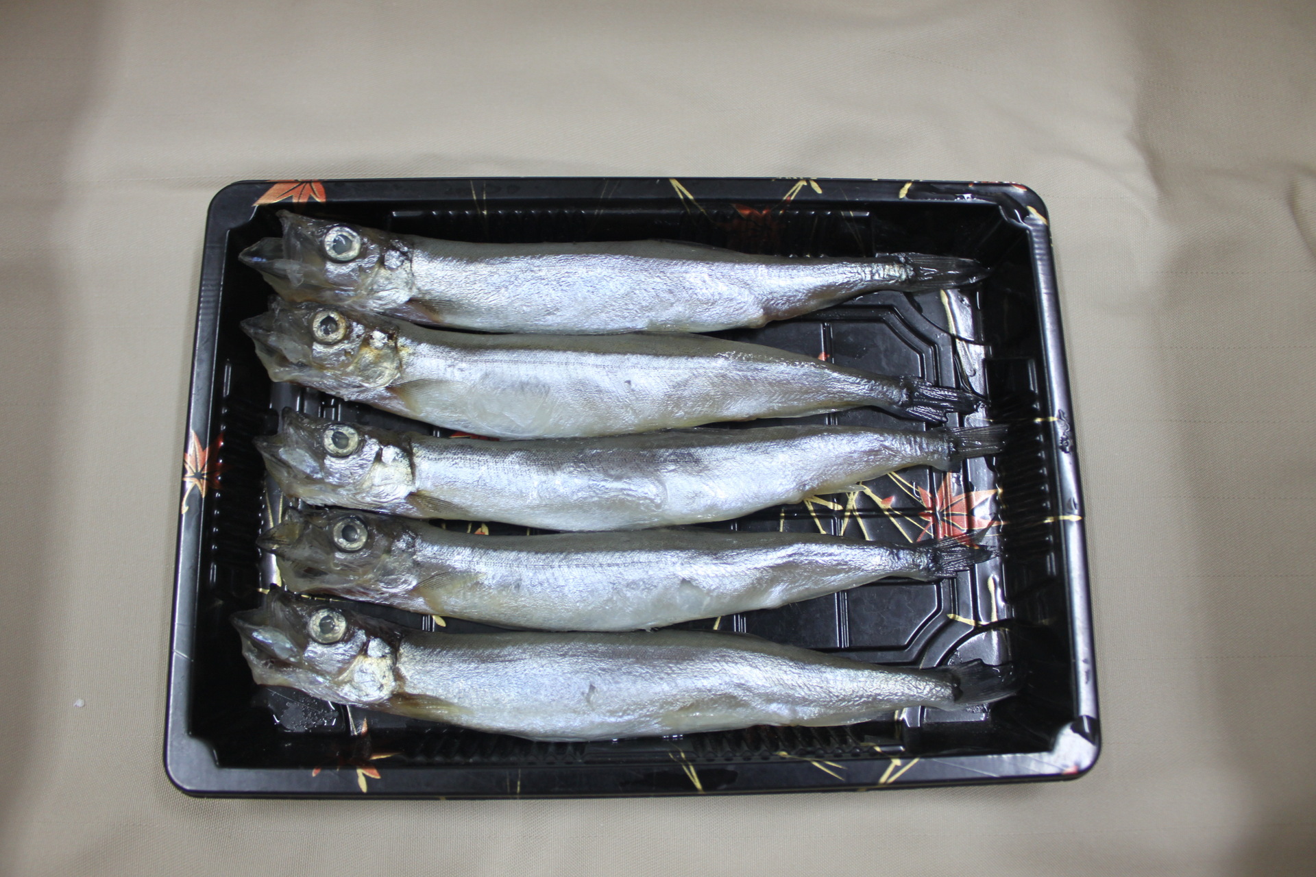 4l多春鱼(柳叶鱼)图片_3