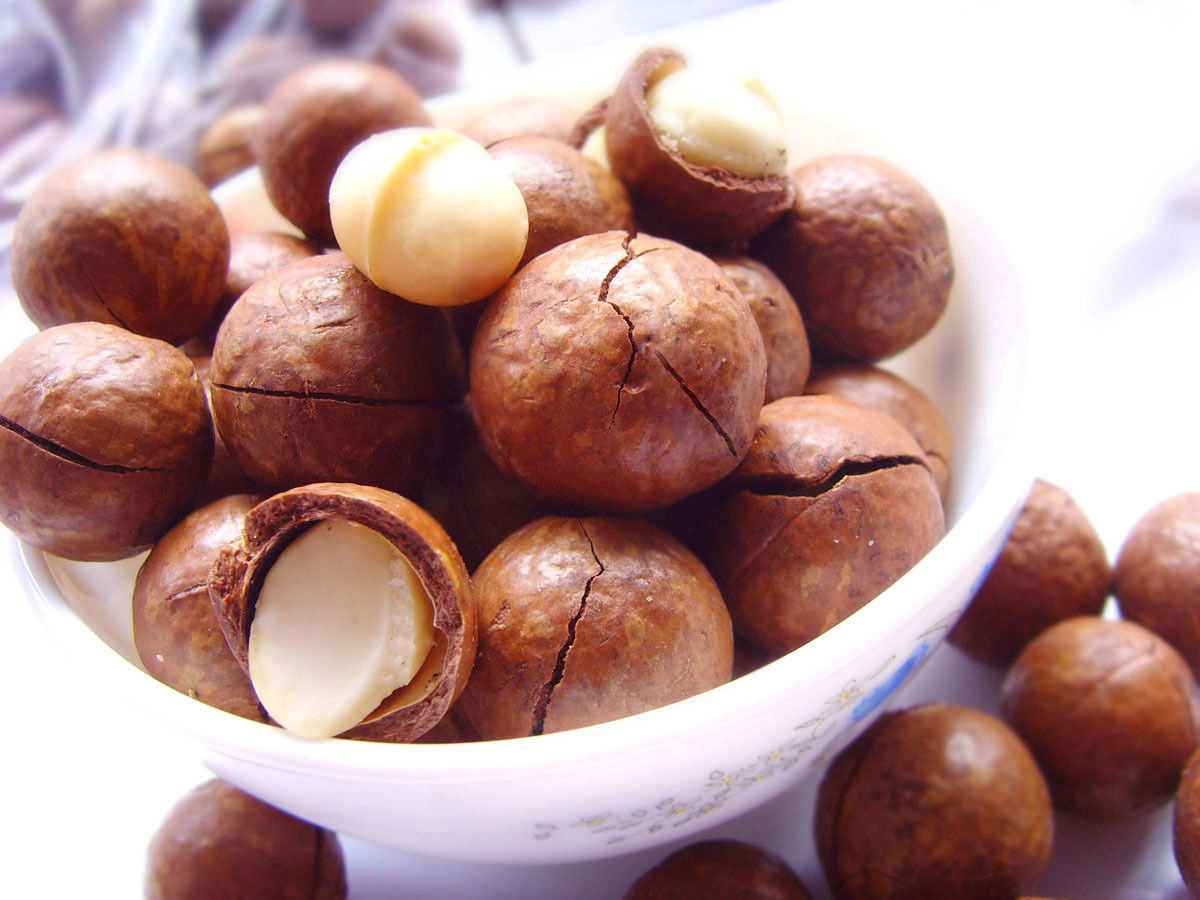 奶香奶油夏威夷果浙江临安口味锯开口高食率特大个