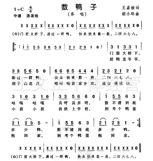 小口琴批发 迷你口琴 最小的口琴 景区热卖 4孔8音 小口琴