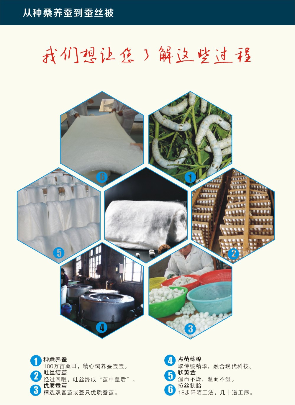 蚕丝夏凉被 100桑蚕丝 莫代尔贡缎提花被芯 南通品牌工厂批发直销