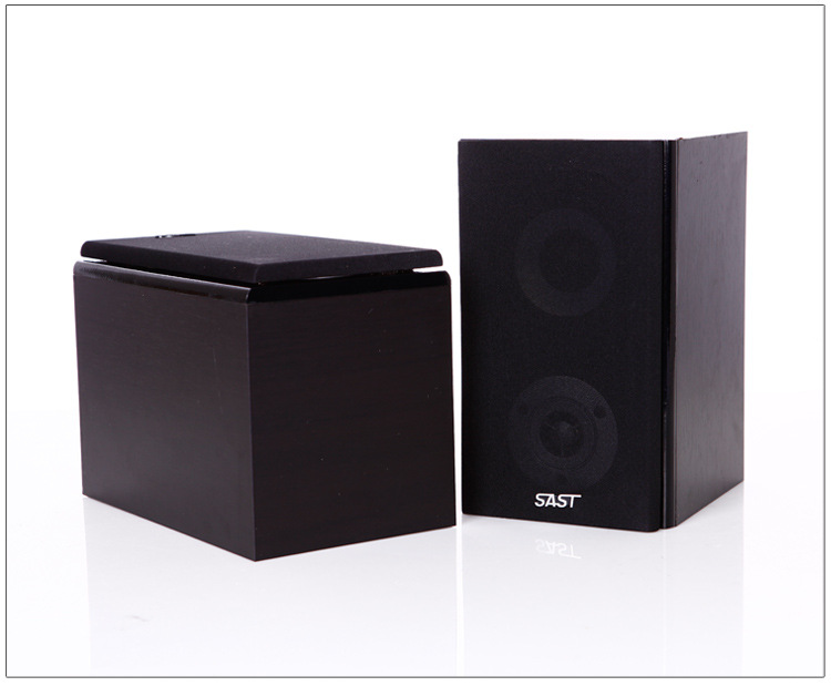 先科sasts-2019黑色中置环绕落地式音响