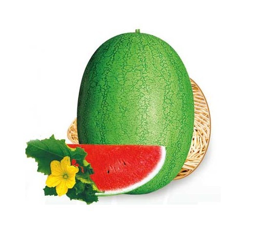 水果种子 特大新红宝西瓜种子 天红宝 一代交配 抗枯萎病 200g/罐