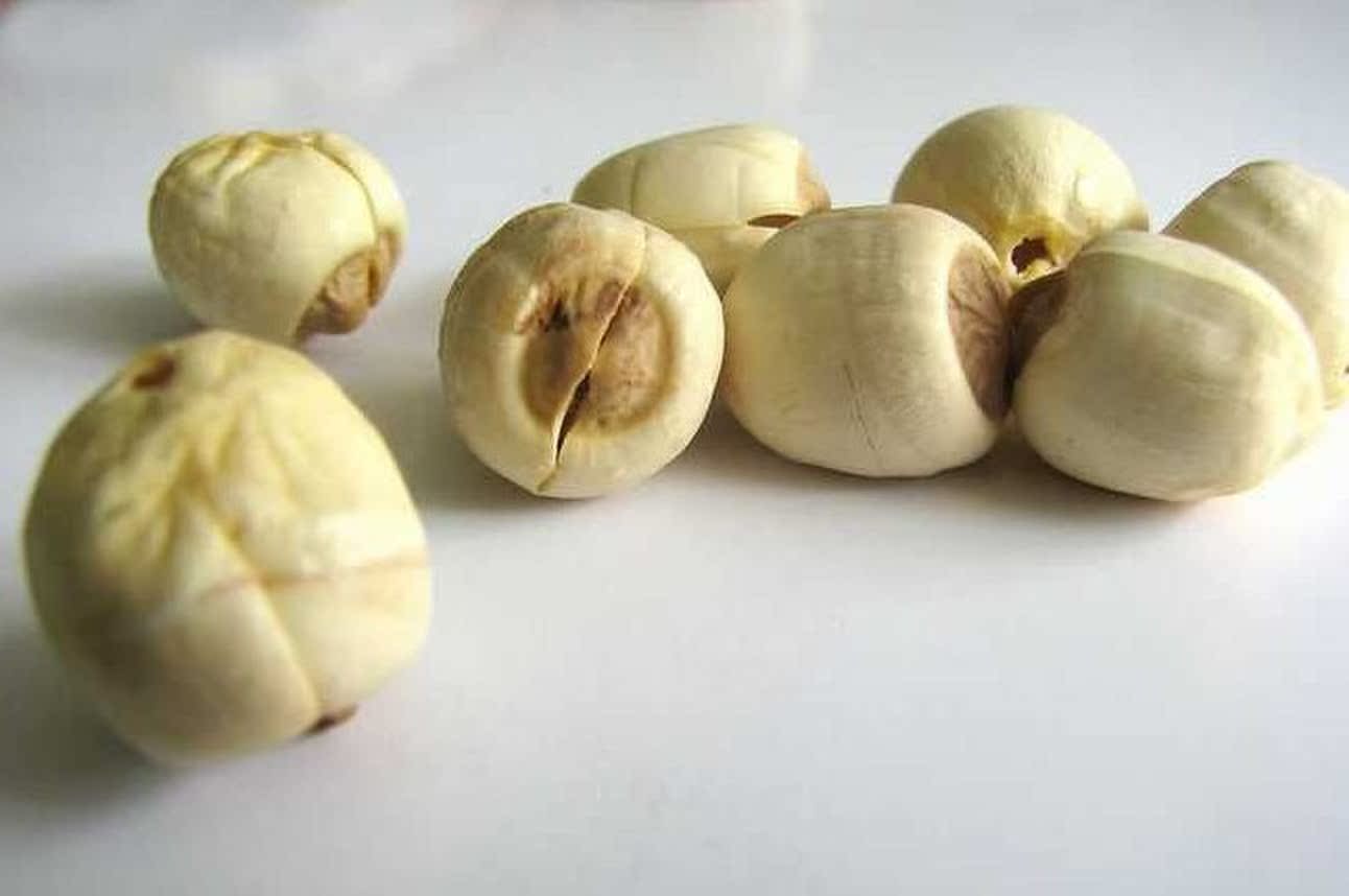 莲子心 pet花草茶 干莲子心 花草茶代工 网店贴牌oem食品150g