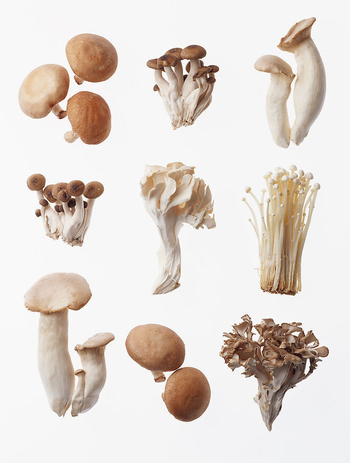 绿色食品&nbsp;&nbsp;&nbsp; 防癌治病