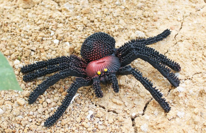 满包邮 整人搞怪橡胶蜘蛛图片_6