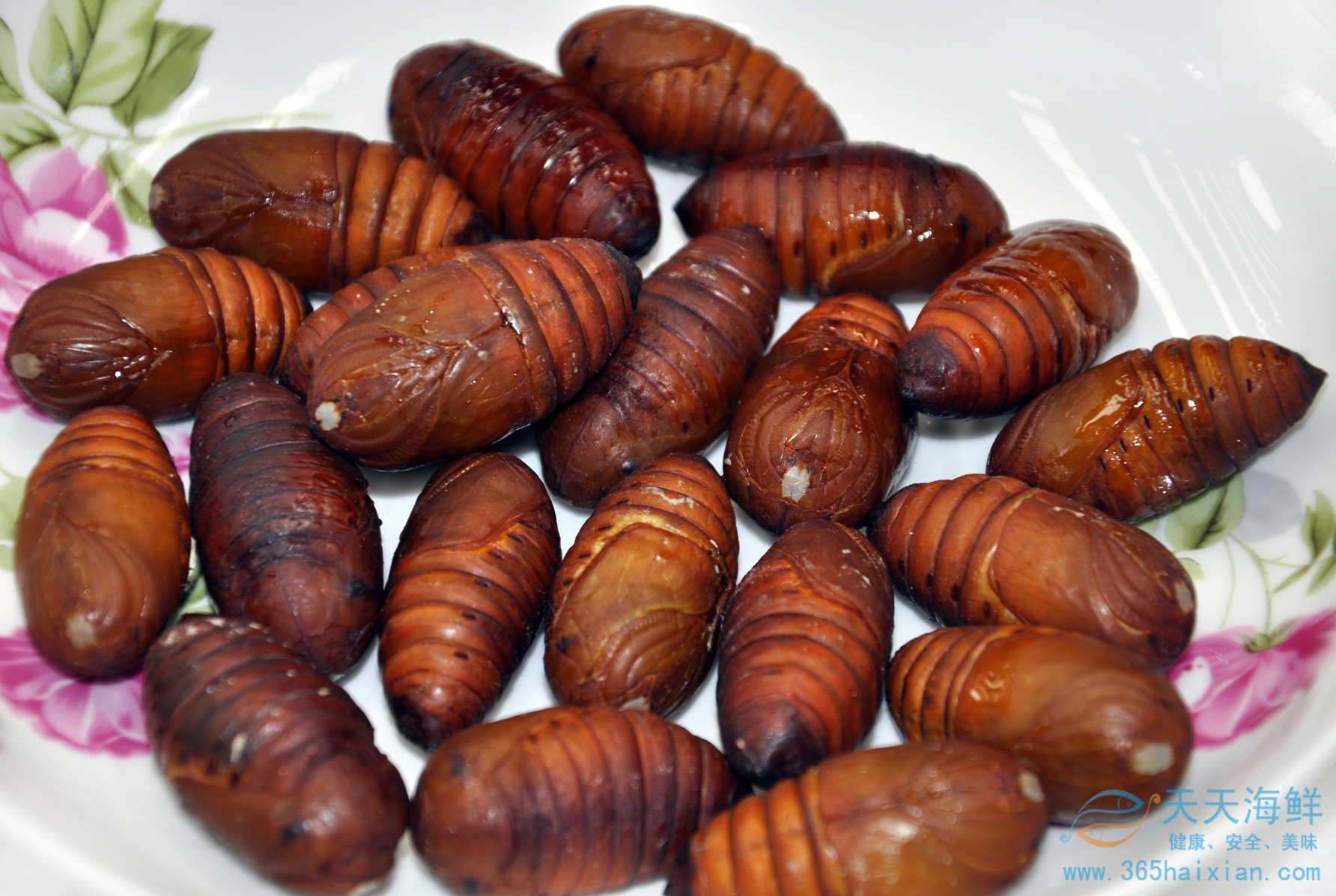 天天海鲜鲜活蚕蛹500g土特产美食年货即食蚕蛹高蛋白延缓衰老