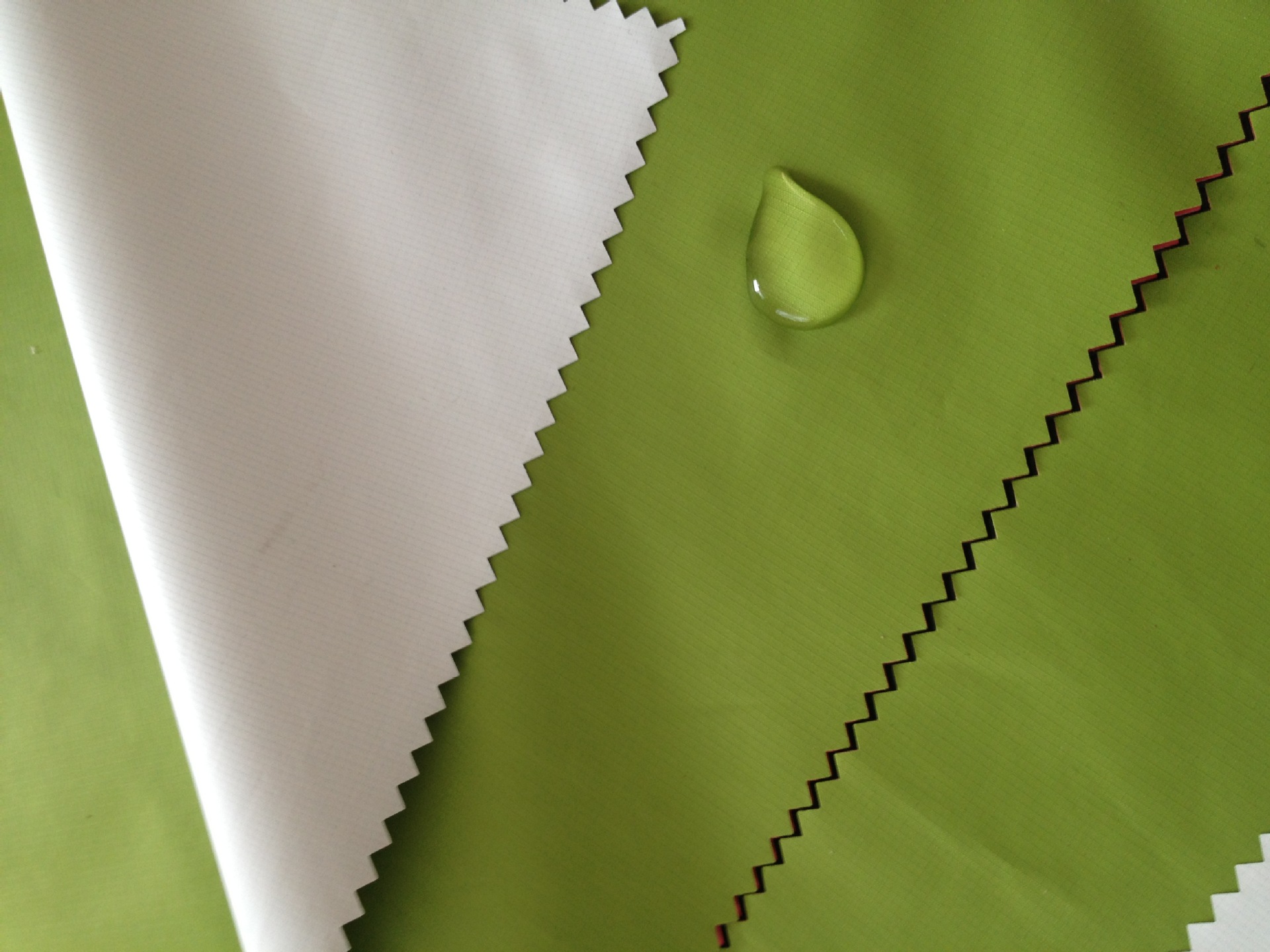 1格子尼丝纺 热贴pu涂白