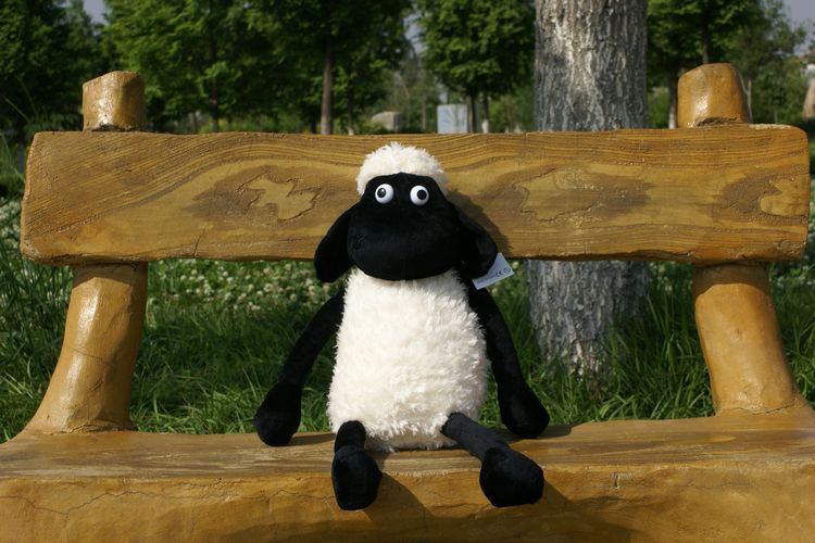批发正版英国粘土动画小羊肖恩shaunthesheep多利羊公仔玩偶礼物