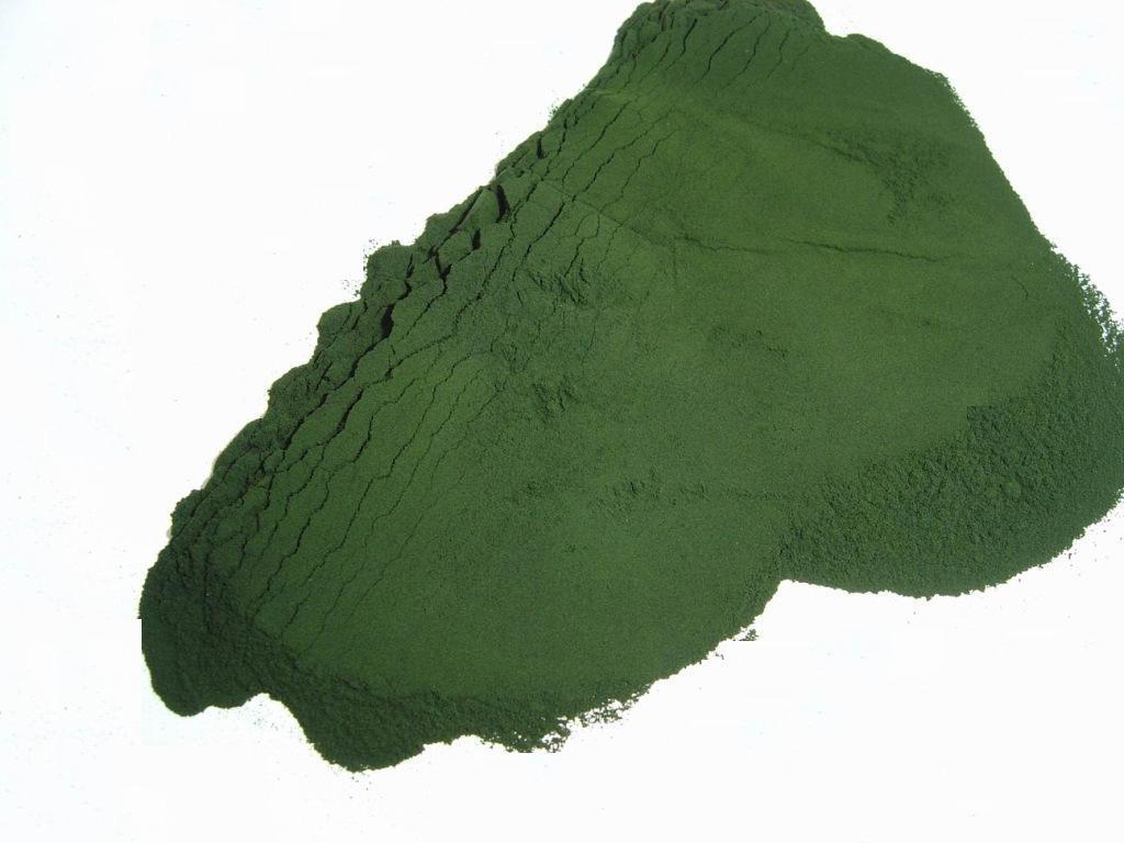 专业供应钝顶螺旋藻片 19年生产历史 10年诚信通 实地认证企业