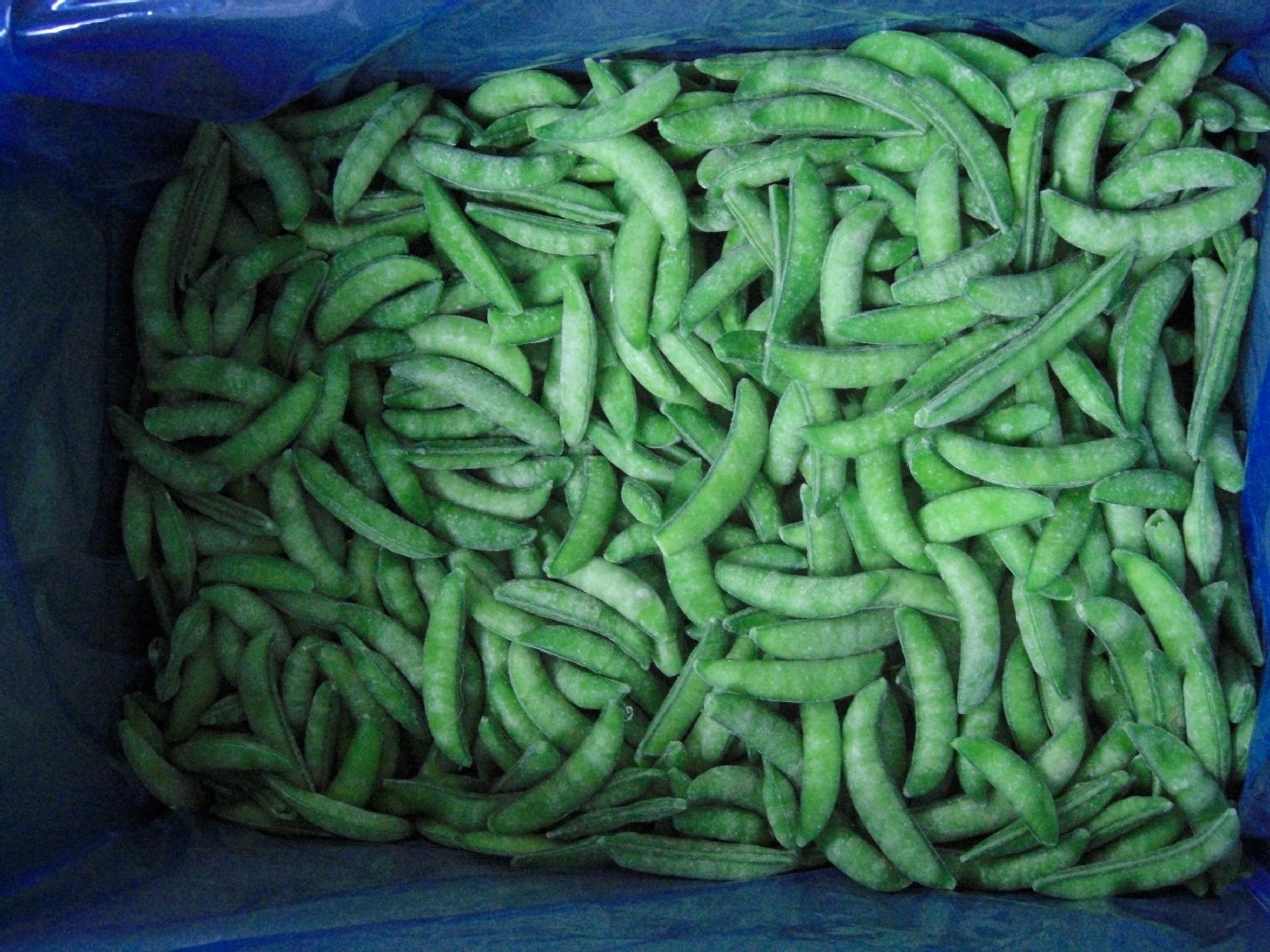 蒸煮速冻甜豌豆成品