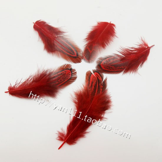 包邮 厂家直销供应羽毛5-8cm野鸡毛棕片批发