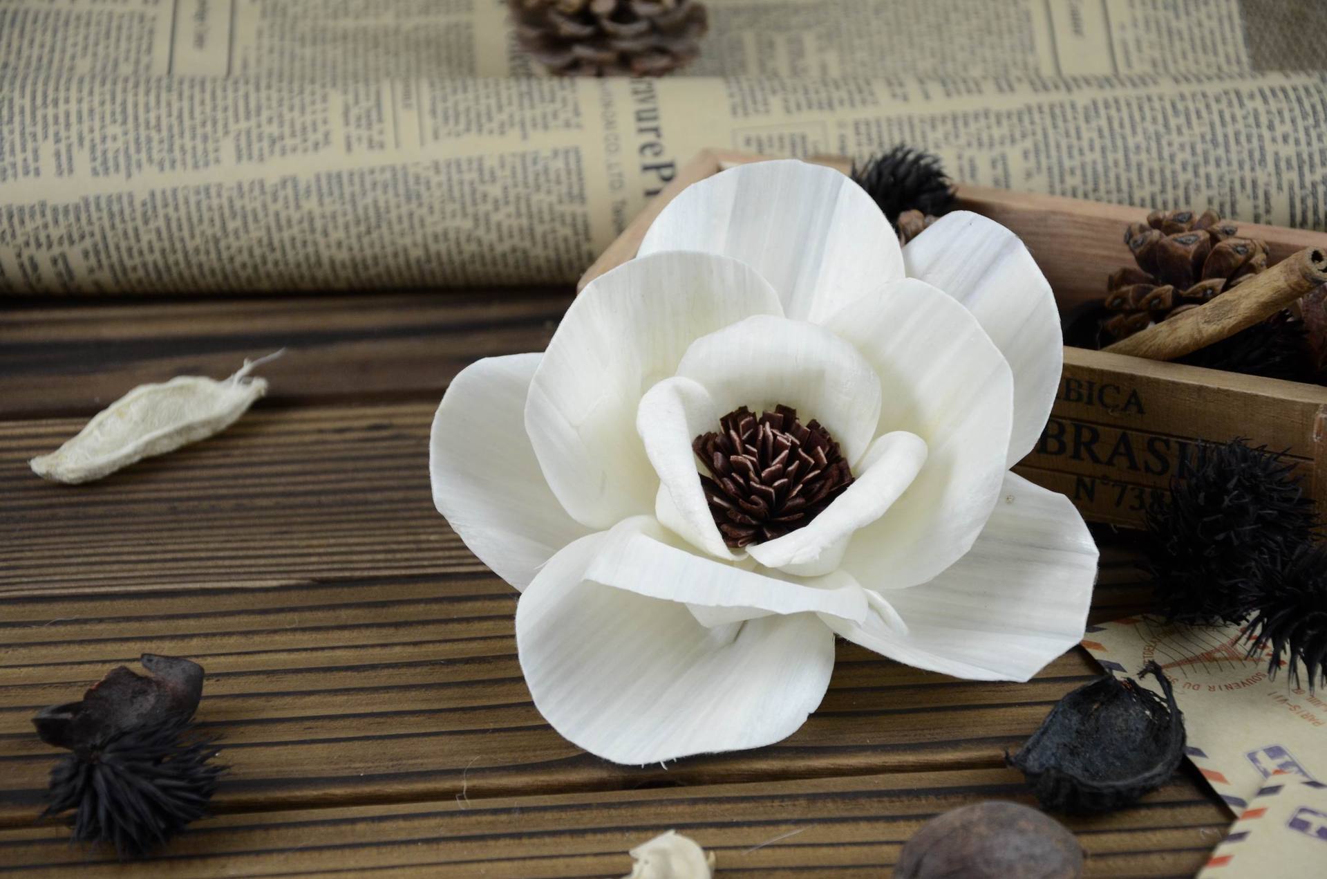 进口环保植物原材料 香薰干花花头 原心腊梅 直径8cm 厂家直销