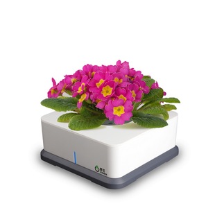 其他电子产品制造设备-报春花绿色智能盆栽,高档礼品包装,国内首创