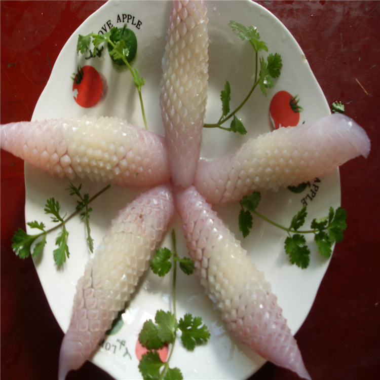 批发精品冷冻鱿鱼花 新鲜鱿鱼耳花海鲜 鱿鱼wei花 铁板烧食材