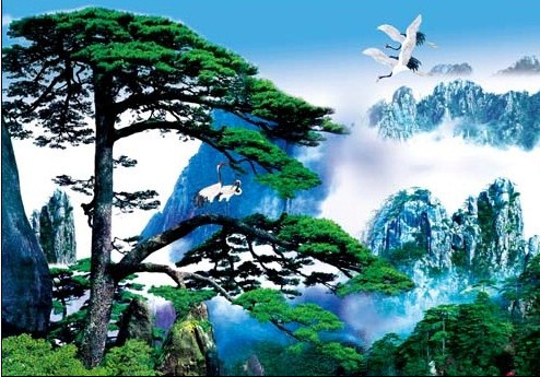 银松精神-岁寒然后知松柏之后凋也