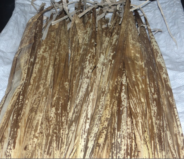 纯天然斑竹壳 色泽白净 外部花纹鲜艳清新自然