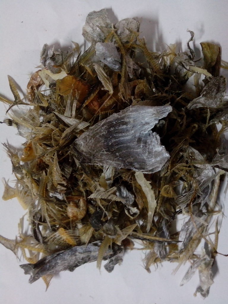 大量批发各种鱿鱼下脚料厂家直接批发,鱿鱼下脚料,鳕鱼下脚料