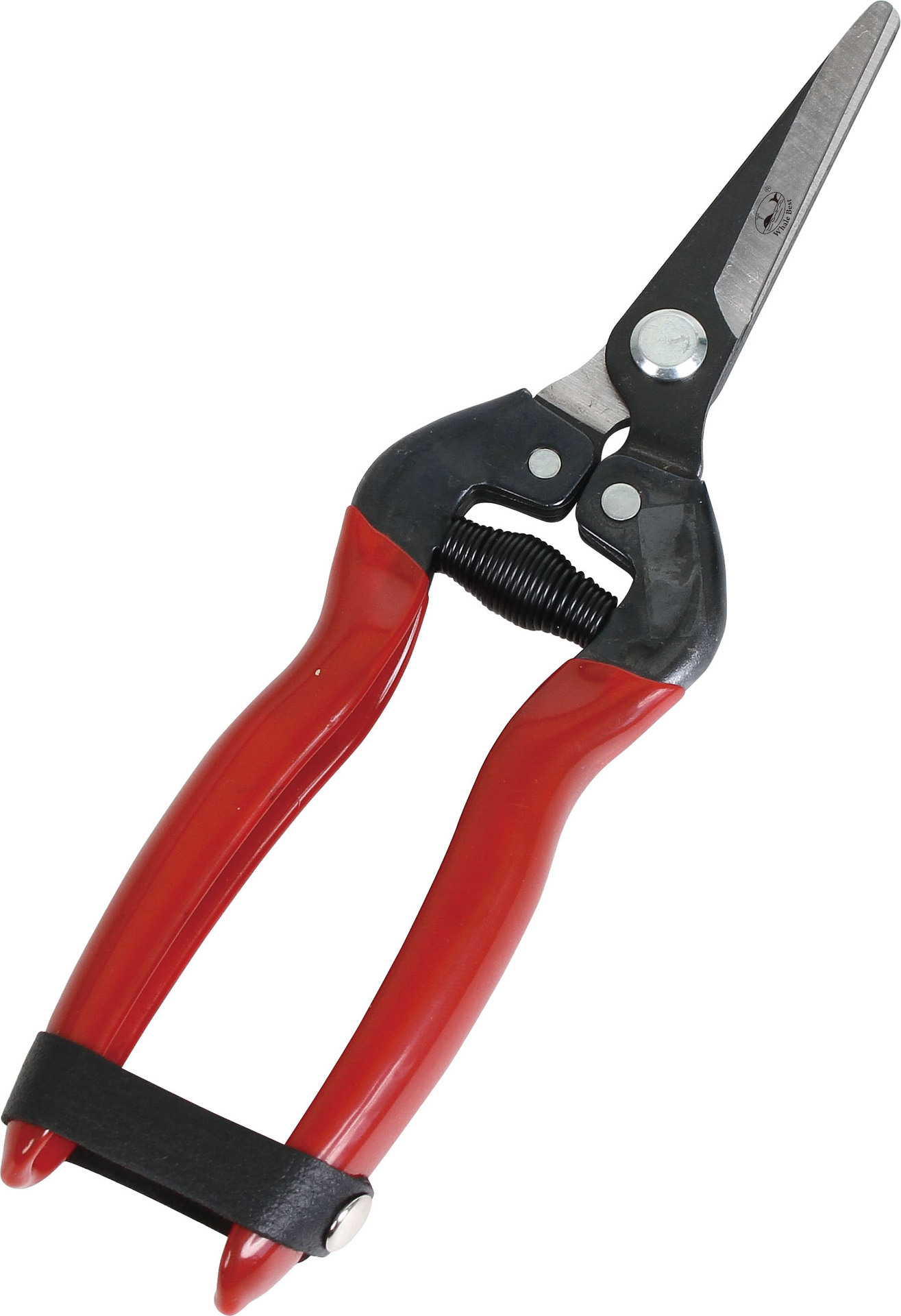 陆雄鲸鱼牌园林剪刀,园林修枝剪,直头剪刀gp-5103b