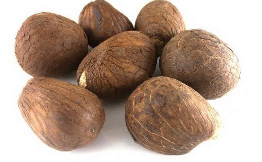 象牙果原料 金刚菩提 白玉菩提星月菩提 千眼菩提 菩提根滴血莲花